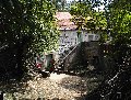 0rumin01m.jpg (6933 bytes)